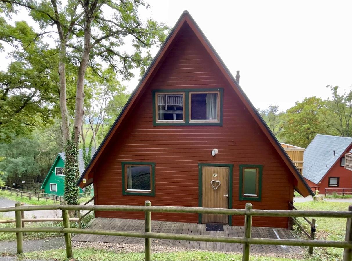 Spacious Primrose Lodge For 6 With Hot Tub At A Spa Resort Chudleigh ภายนอก รูปภาพ